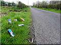 Debris along Edergole Road