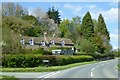 A terrace of houses and woodland in Batchcott