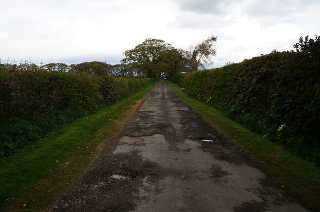 Road leading to South Farm, East Common