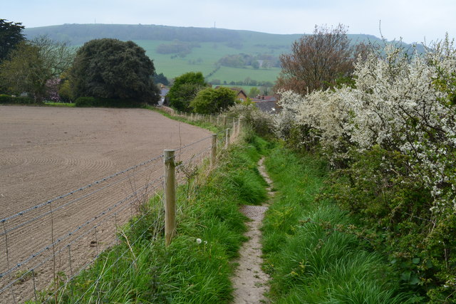 Path from Wroxall to St Martin's Down
