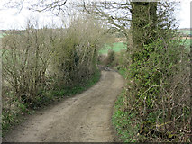 TL5532 : Sampson's Lane by Hugh Venables