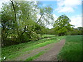 Field edge below Birling Place Farm