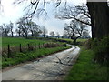 Bend in the road near Kyloe House