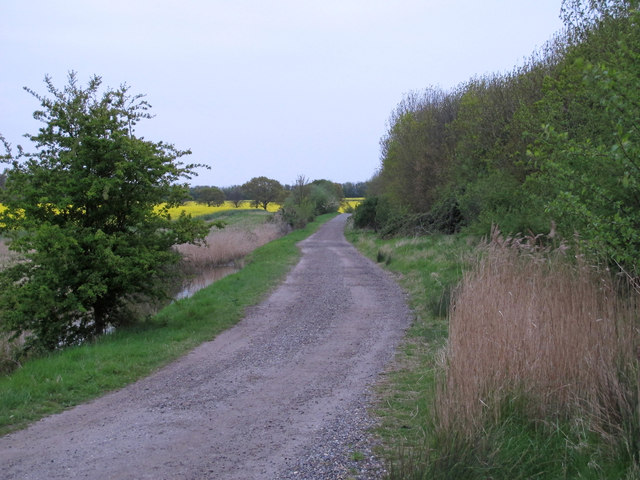 Stour and Orwell Walk near Trimley Marshes