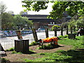 Siesta by the skatepark