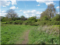 Scrubland, Desborough Island