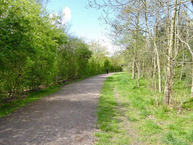 Path in Grassmoor Country Park