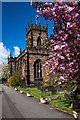 St Michael & All Angels Church, Penkridge (3)