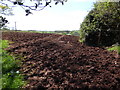 Bridleway goes over top of hill north of Coleford Water