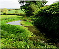 Small pond, Peterstow