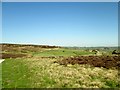 Eastern  edge  of  Heyshaw  Moor