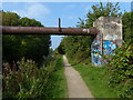 Pipebridge and towpath along the Coventry Canal