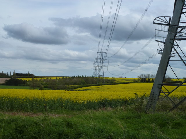 Pylons and rape on Clay Hill, Ryhall, Lincolnshire