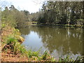 Pond near to Churt Place