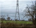 Pylon near Albionhayes