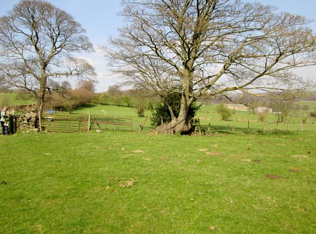 Fields  near  Nether  Timble
