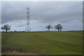 Pylon near Old Woods