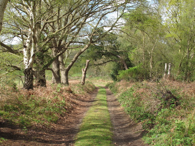 Track to Sizewell Belts