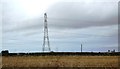 Pylon near Stanwardine