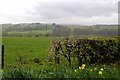 Field and hedge at Kepculloch