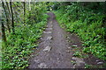 Forder Valley Tramway