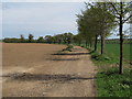 TL9835 : Track to Tendring Hall Farm, Stoke-by-Nayland by Roger Jones