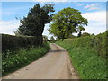 Rural Road, Stoke by Nayland