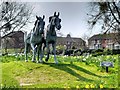 Windsor Greys on the Traffic Island