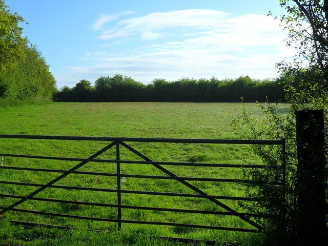 Field near bypass