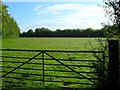 Field near bypass