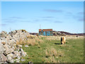 Wall of boulders alongside A849