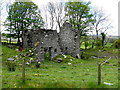 Ruin, Glenmacoffer