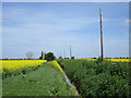 Ruskington Fen