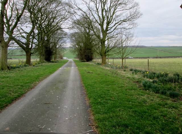 Farm  access  road  to  A614