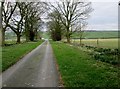 Farm  access  road  to  A614