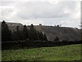 SE8293 : Rough  pasture  at  Gallock  Hill by Martin Dawes