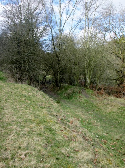Sunken  path  toward  Staindale  Lodge