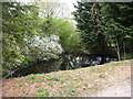 Pond at High Downs