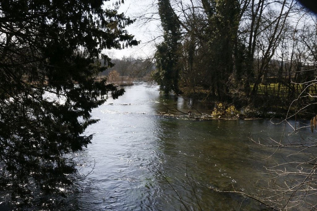 The River Itchen Bill Nicholls Cc By Sa 2 0 Geograph Britain And   4465460 0bb12ace Original 