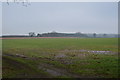 TG0605 : Farmland, Coston Lane by N Chadwick