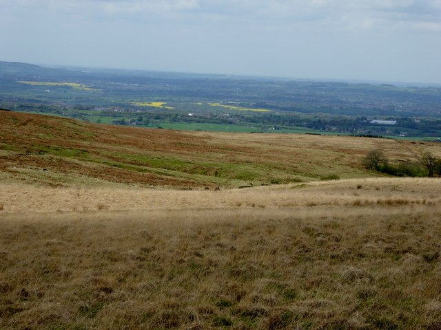 Moorland from Will Narr