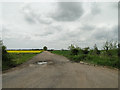 The track to Bodney Farm from the A134