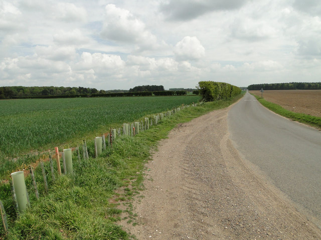 The unfenced road to Ampton from Little Livermere