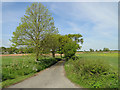 Wood Lane, Wattisfield