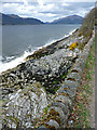 Loch Long by Shore Road