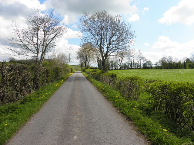 Newtownsaville Road, Tycanny   © Kenneth Allen :: Geograph Ireland