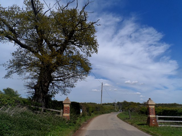 Gate posts on Waterend Lane