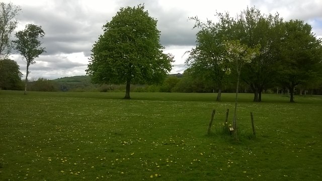 Parkland at Gnoll Country Park