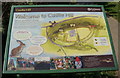 Information Board at Castle Hill