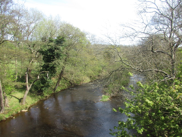 River Esk near Grosmont Farm © Jonathan Thacker :: Geograph Britain and ...